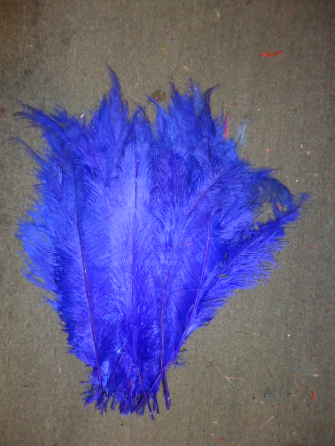 Ostrich Feather Plume 18-24 INCH ROYAL BLUE